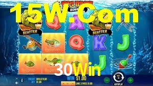 Premium Interface 30Win